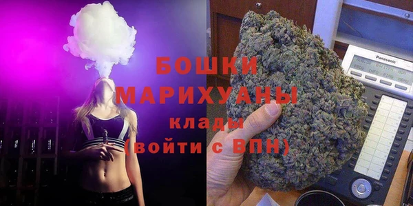 ГАЛЛЮЦИНОГЕННЫЕ ГРИБЫ Лабытнанги
