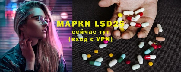 ГАЛЛЮЦИНОГЕННЫЕ ГРИБЫ Лабытнанги