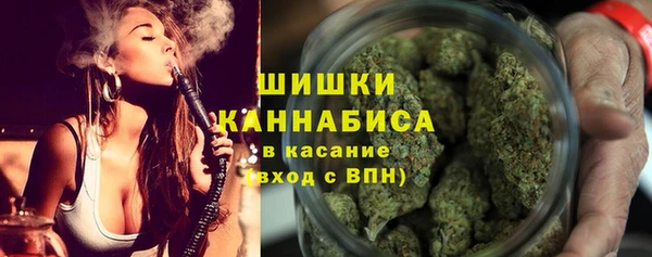 ГАЛЛЮЦИНОГЕННЫЕ ГРИБЫ Лабытнанги